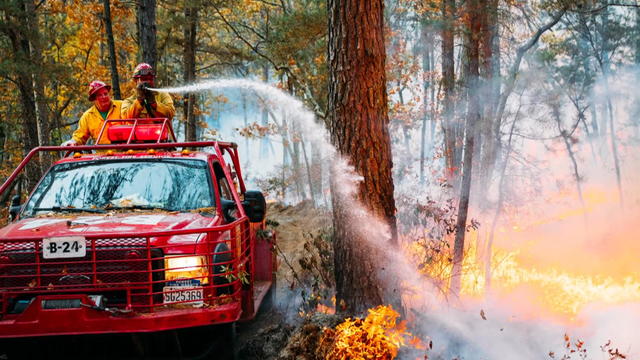 evesham-wildfire.jpg 